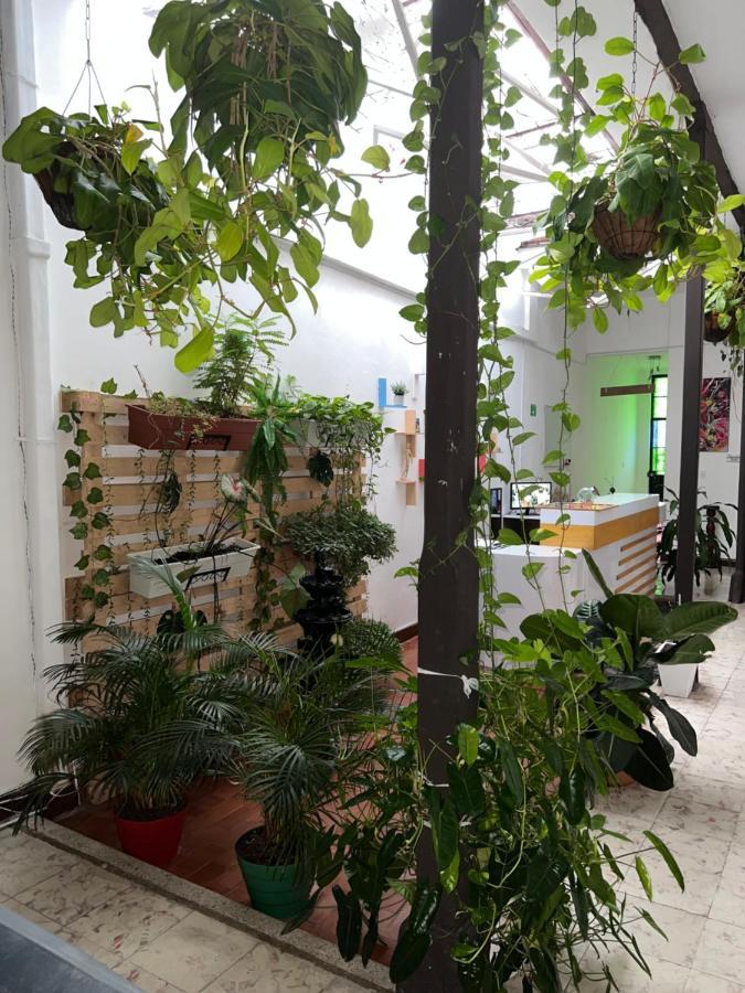 Casa Blanca San Antonio Hostal Boutique カリ エクステリア 写真