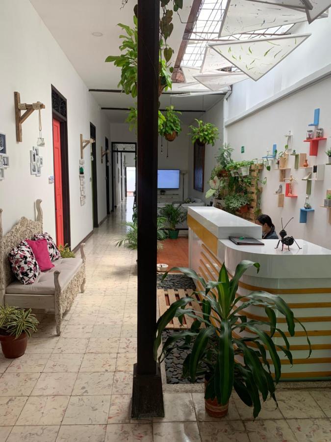 Casa Blanca San Antonio Hostal Boutique カリ エクステリア 写真