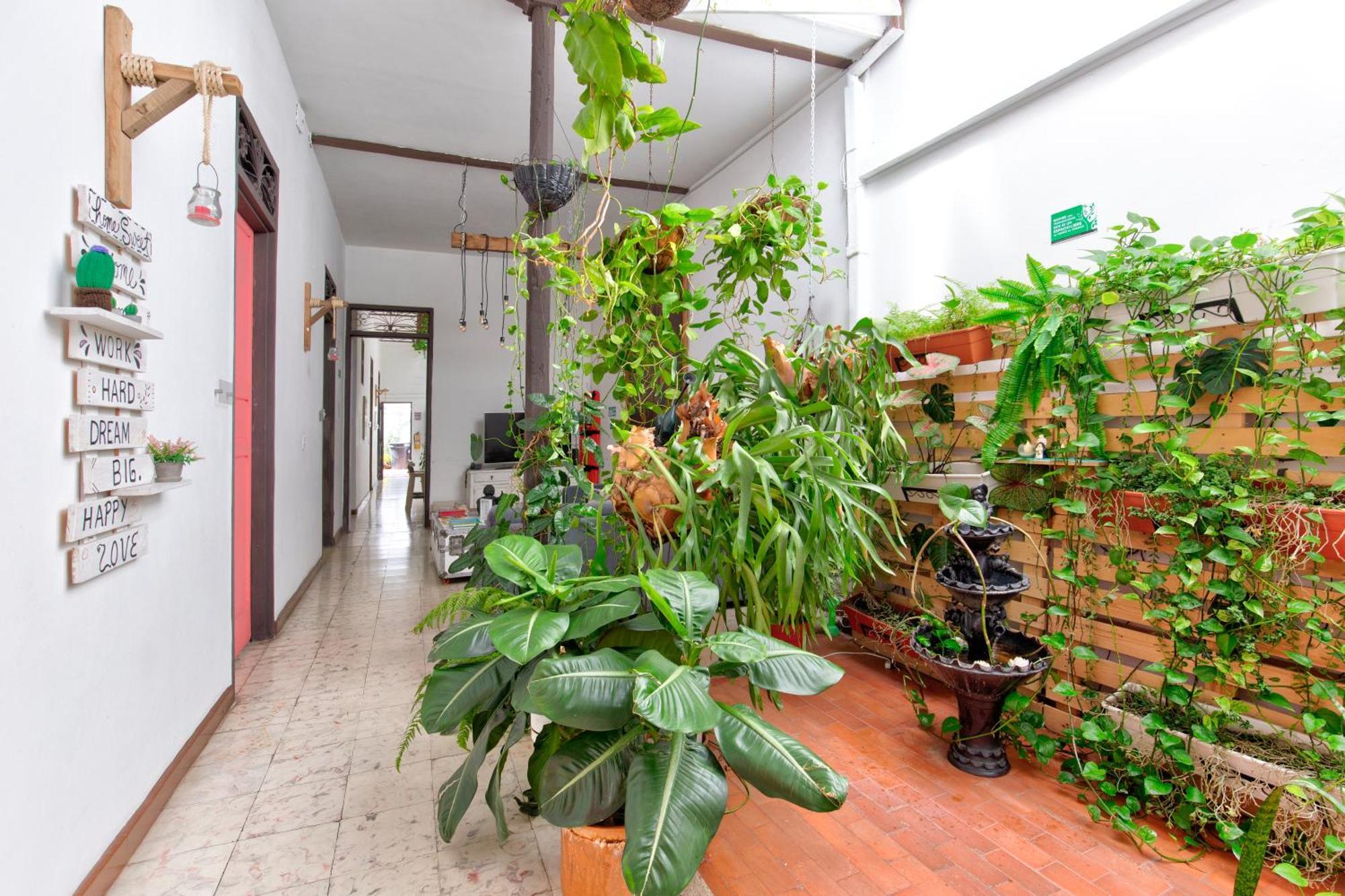 Casa Blanca San Antonio Hostal Boutique カリ エクステリア 写真